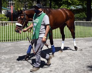 Royal Realm breaks his maiden at Belmont Park for members of his Centennial Farms thoroughbred racing partnership team.