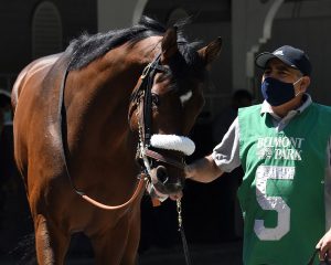 Royal Realm breaks his maiden at Belmont Park for members of his Centennial Farms thoroughbred racing partnership team.