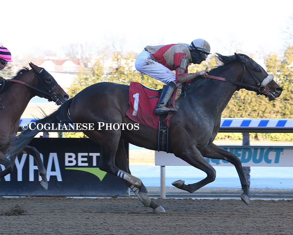 Mihos wins at Aqueduct on March 13.