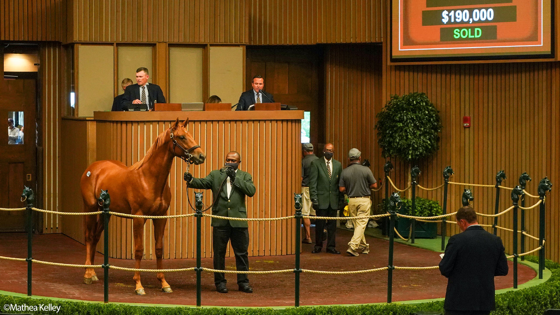 Mastery colt out of the Street Cry mare Spring Street, purchased at the Keeneland September Sale and available in the Elmont thoroughbred racing partnership.
