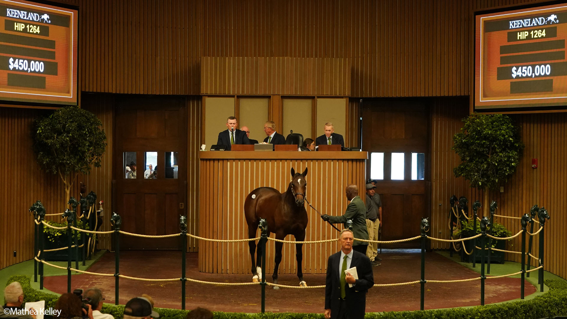 Mitole colt out of Waltzing, by Candy Ride, purchased at the prestigious Keeneland September Sale and available in a thoroughbred racing partnership as the 2022 Hamilton, LLC.
