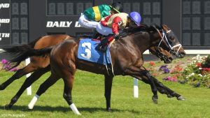 Waitlist breaks his maiden at Tampa Bay Downs, Emisael Jaramillo aboard. SV Photography.