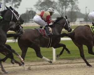 Litigate establishes position early at Tampa Bay Downs on his way to victory in the G3 Sam F. Davis Stakes. Litigate is a part of the Elmont, LLC thoroughbred racing partnership.