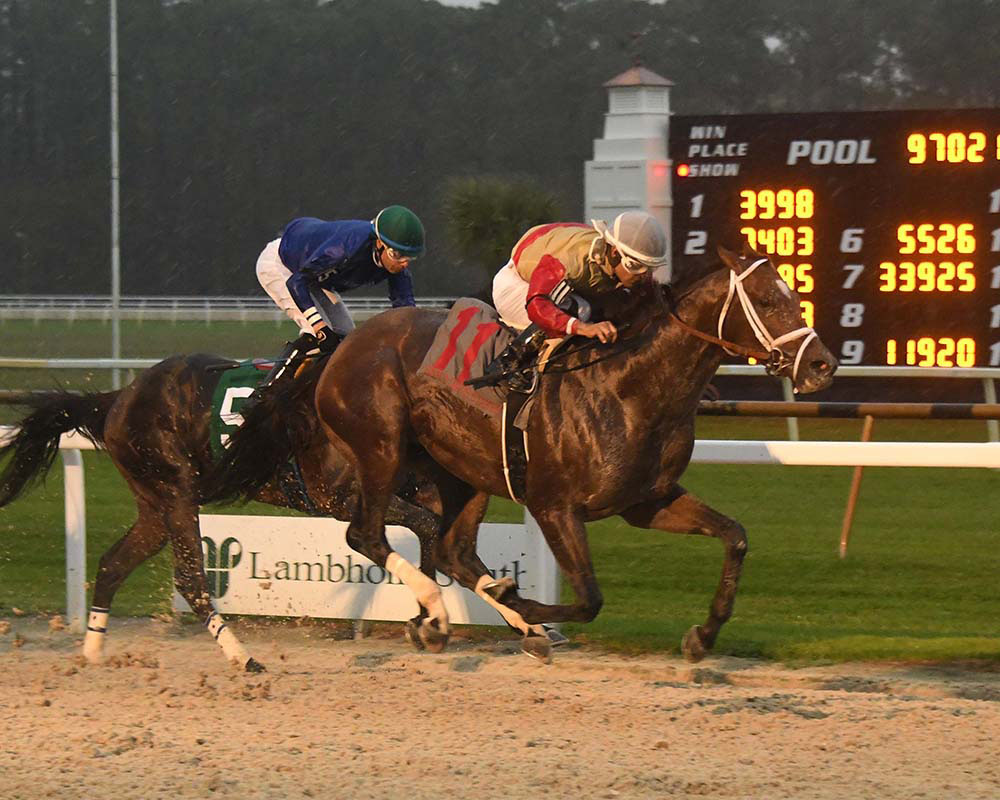 Litigate takes the G3 Sam F. Davis Stakes at Tampa Bay Downs. Litigate is a part of the Elmont, LLC thoroughbred racing partnership.