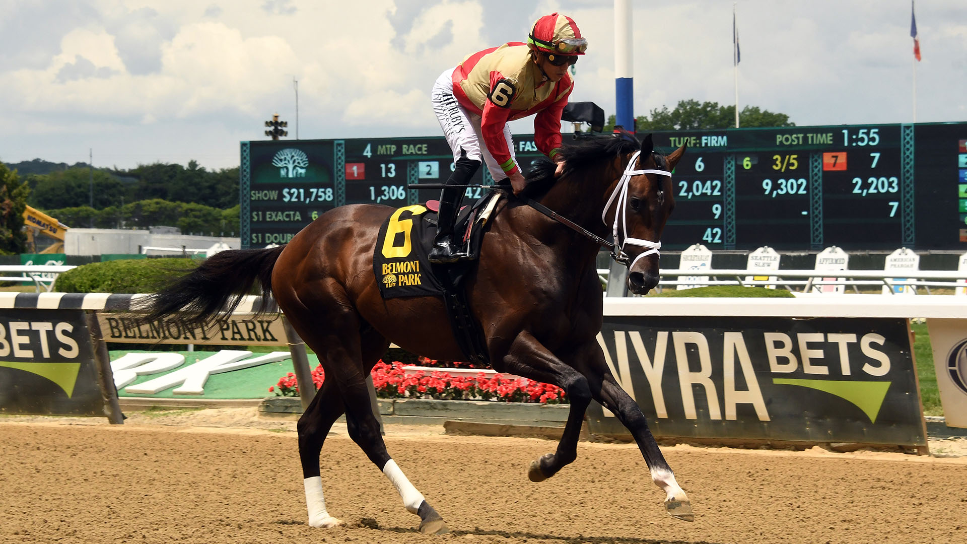 Meteorite, a son of Malibu Moon and Leaveminthedust (by Danzig), a member of the Twin Oaks, LLC Thoroughbred racing partnership, pictured at Belmont Park.