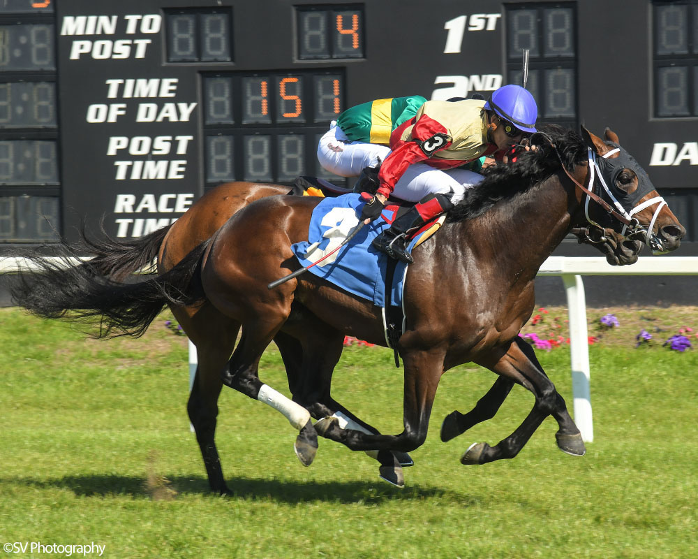 Waitlist breaks his maiden at Tampa Bay Downs, Emisael Jaramillo aboard. SV Photography.