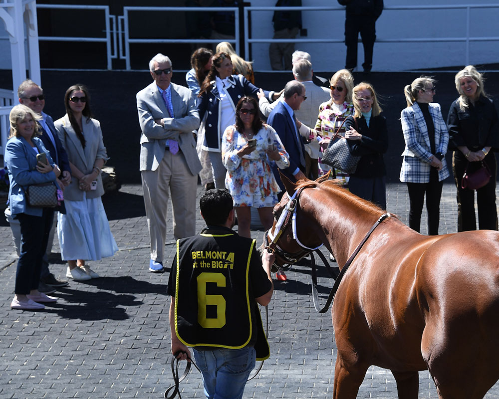 Antiquarian (Preservationist - Lifetime Memory) and members of his Thoroughbred racing partnership before his victory in the G3 Peter Pan at Aqueduct's Belmont At The Big A meet.
