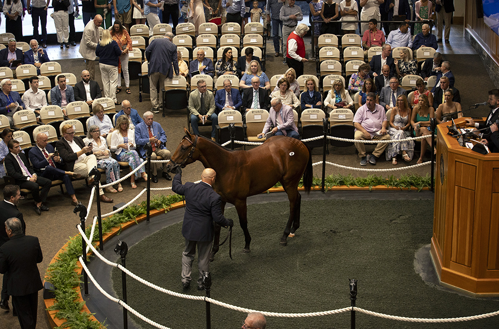 Members of the Centennial Farms family watch as a colt by a Charlatan out of the Candy Ride mare Call Me Candy is in the ring at the Fasig-Tipton Saratoga Sale. He is available as the Congress Park LLC Thoroughbred racing partnership.