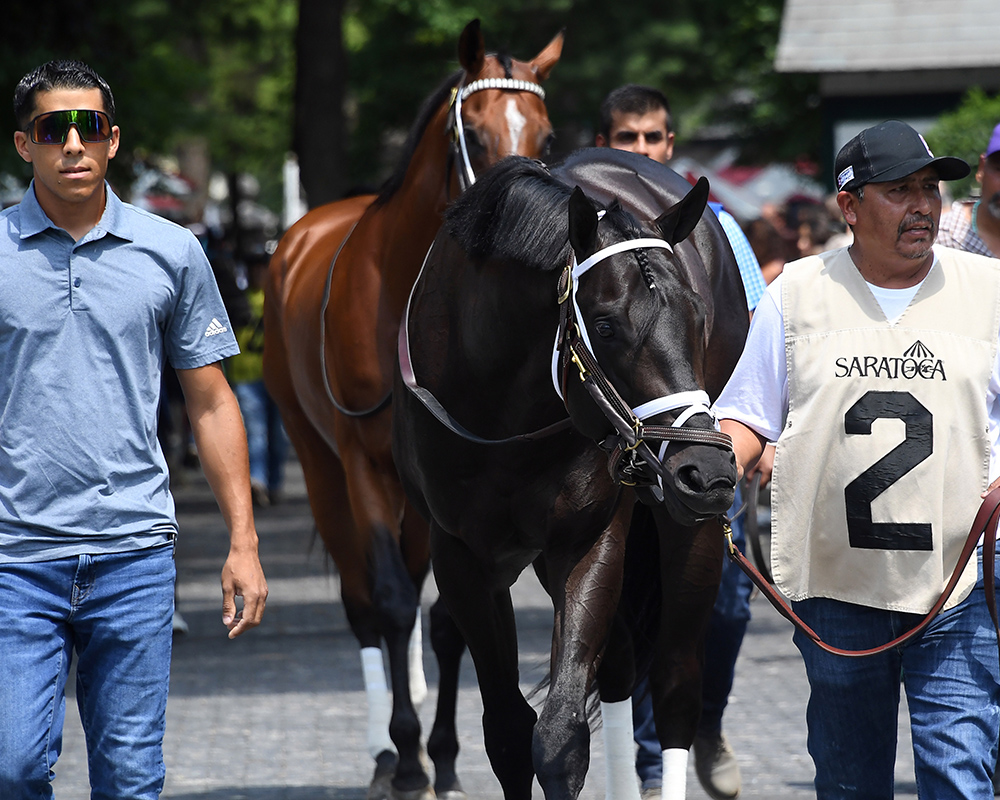 Illuminare (City of Light - I Still Miss You), part of Centennial Farms' 2022 Hamilton LLC Thoroughbred racing partnership, before winning an allowance at Saratoga Race Course with Irad Ortiz, Jr. aboard.