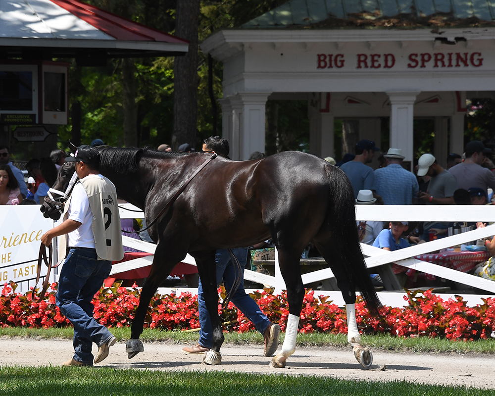 Illuminare (City of Light - I Still Miss You), part of Centennial Farms' 2022 Hamilton LLC Thoroughbred racing partnership, before winning an allowance at Saratoga Race Course with Irad Ortiz, Jr. aboard.