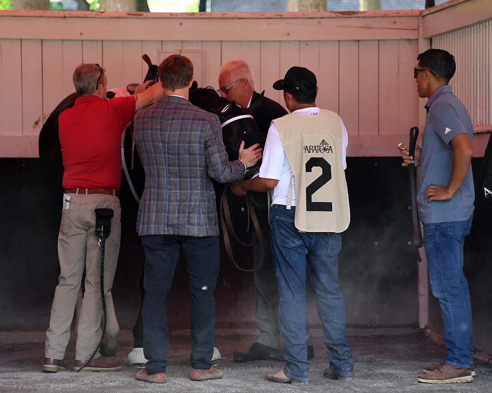 Illuminare (City of Light - I Still Miss You), part of Centennial Farms' 2022 Hamilton LLC Thoroughbred racing partnership, before winning an allowance at Saratoga Race Course with Irad Ortiz, Jr. aboard.