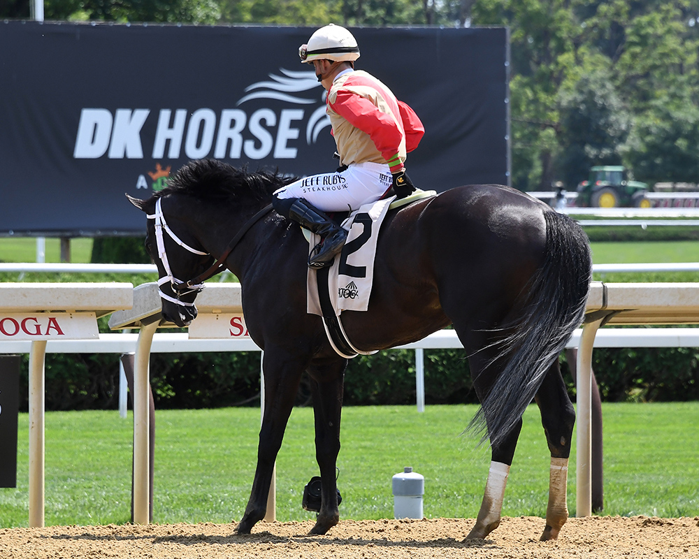 Illuminare (City of Light - I Still Miss You), part of Centennial Farms' 2022 Hamilton LLC Thoroughbred racing partnership, after winning an allowance at Saratoga Race Course with Irad Ortiz, Jr. aboard.