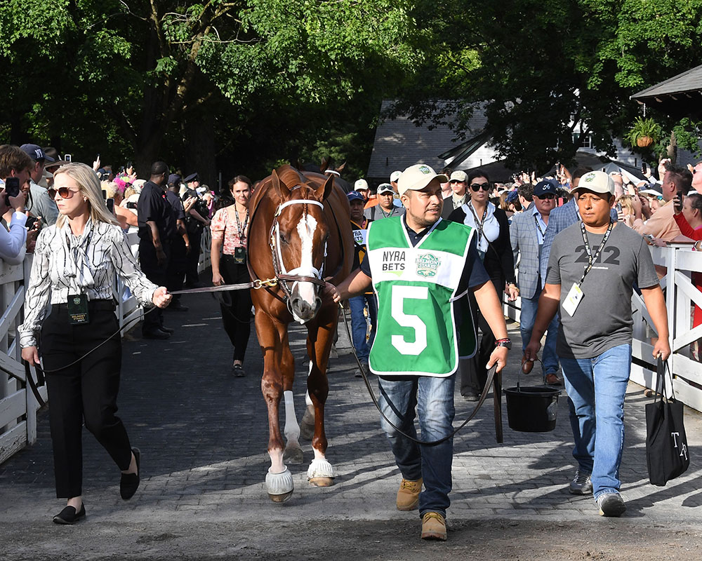 Antiquarian, owned by the Centennial Farms Thoroughbred racing partnership, before the Belmont Stakes at Saratoga Race Course.