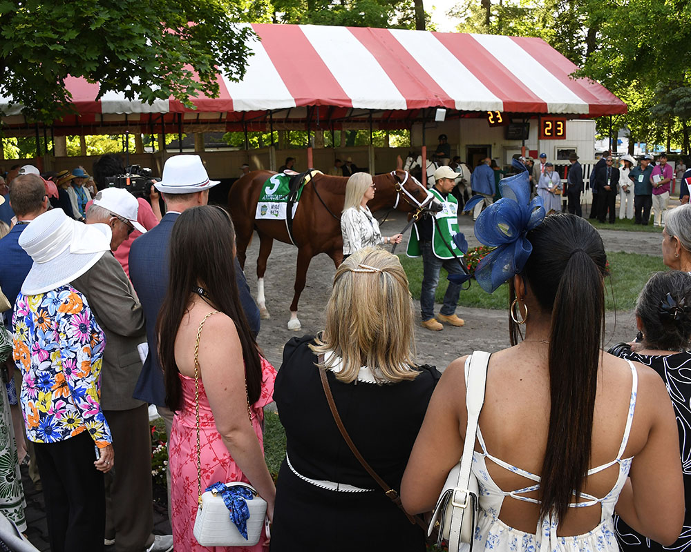 Members of the Centennial Farms Thoroughbred racing partnership that owns Belmont Stakes runner Antiquarian on Belmont Stakes Day at Saratoga Race Course.