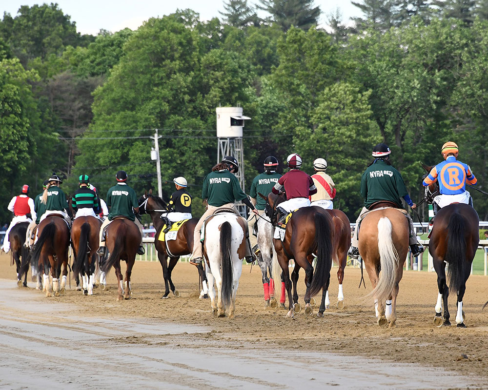 Antiquarian, owned by the Centennial Farms Thoroughbred racing partnership, before the Belmont Stakes at Saratoga Race Course.