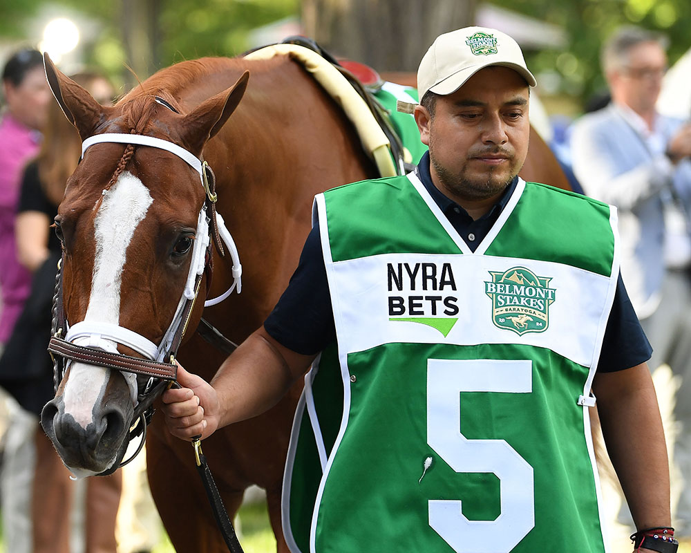 Antiquarian, owned by the Centennial Farms Thoroughbred racing partnership, before the Belmont Stakes at Saratoga Race Course.