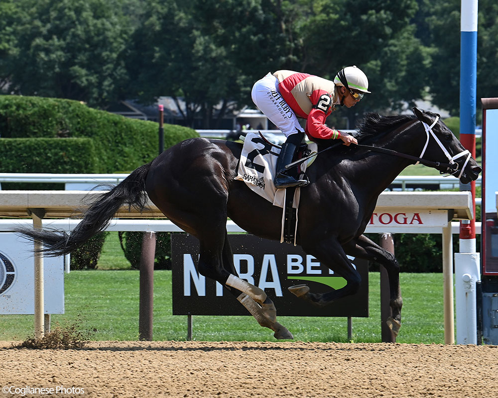 Illuminare (City of Light - I Still Miss You), part of Centennial Farms' 2022 Hamilton LLC Thoroughbred racing partnership, winning an allowance at Saratoga Race Course with Irad Ortiz, Jr. aboard.