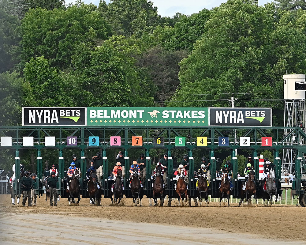 Antiquarian, owned by the Centennial Farms Thoroughbred racing partnership, during the Belmont Stakes at Saratoga Race Course.