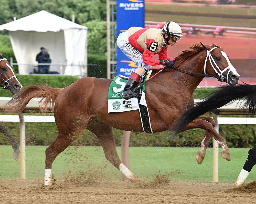 Antiquarian, owned by the Centennial Farms Thoroughbred racing partnership, during the Belmont Stakes at Saratoga Race Course.