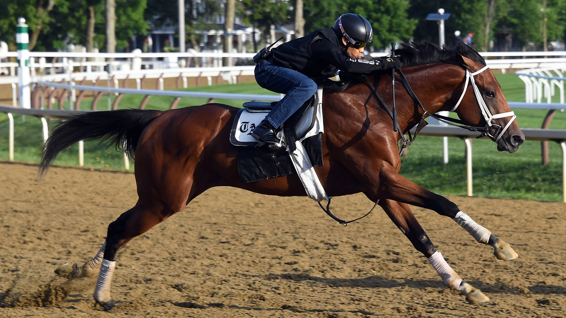 Makes Sense (Street Sense - Pure Poison) at Saratoga Race Course in July 2024.