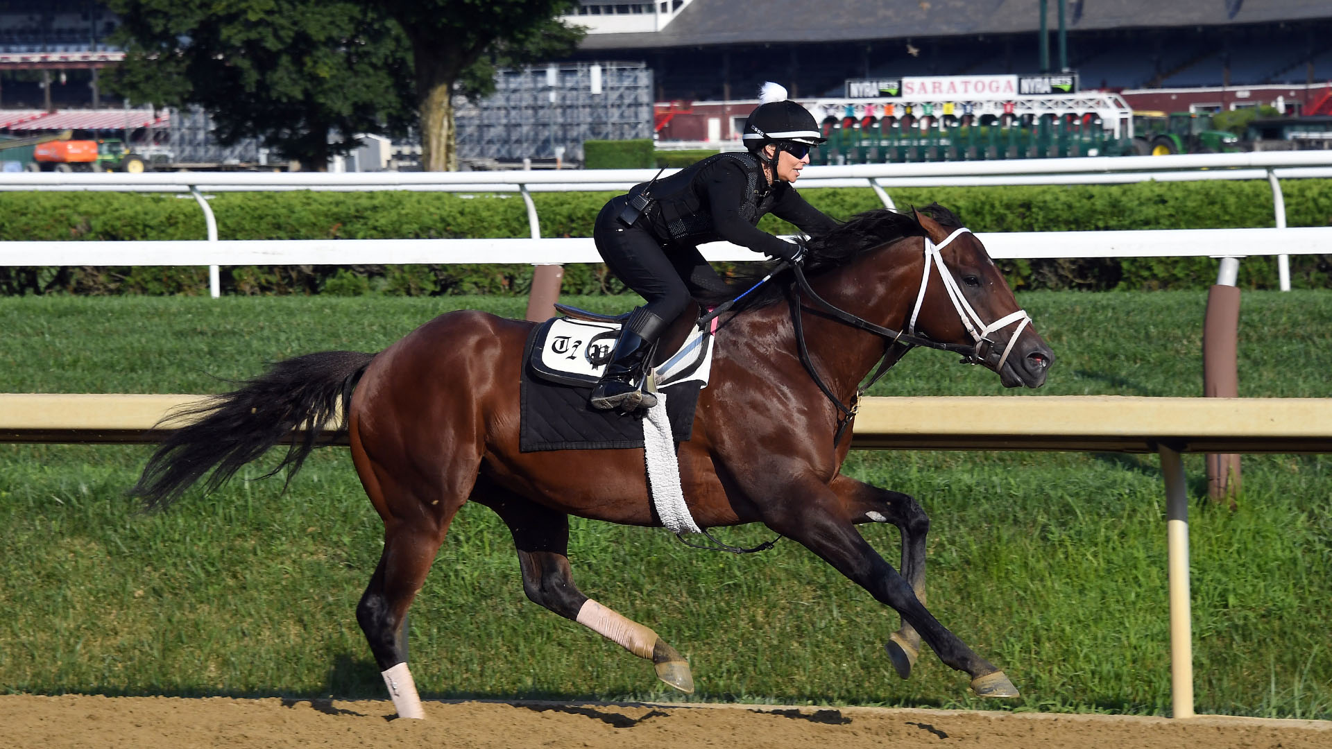 Prospering (Arrogate - Stellaris) at Saratoga in July of 2024.