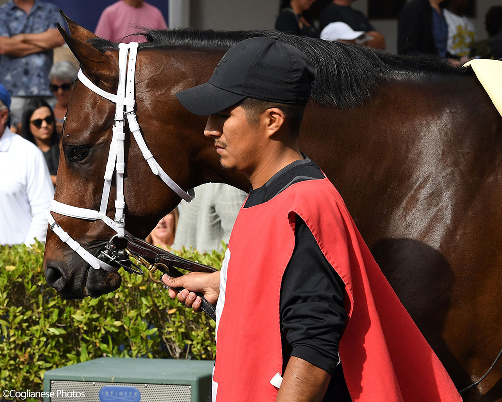 Enlighten (City of Light - Legal Tender), Centennial Farms' 2022 Cheval LLC Thoroughbred racing partnership, before winning a maiden race at the Gulfstream Park Championship Meet with Edgard Zayas aboard.