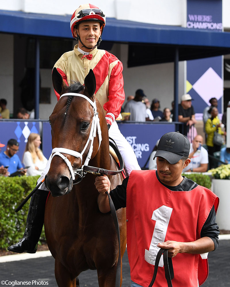 Enlighten (City of Light - Legal Tender), Centennial Farms' 2022 Cheval LLC Thoroughbred racing partnership, before winning a maiden race at the Gulfstream Park Championship Meet with Edgard Zayas aboard.