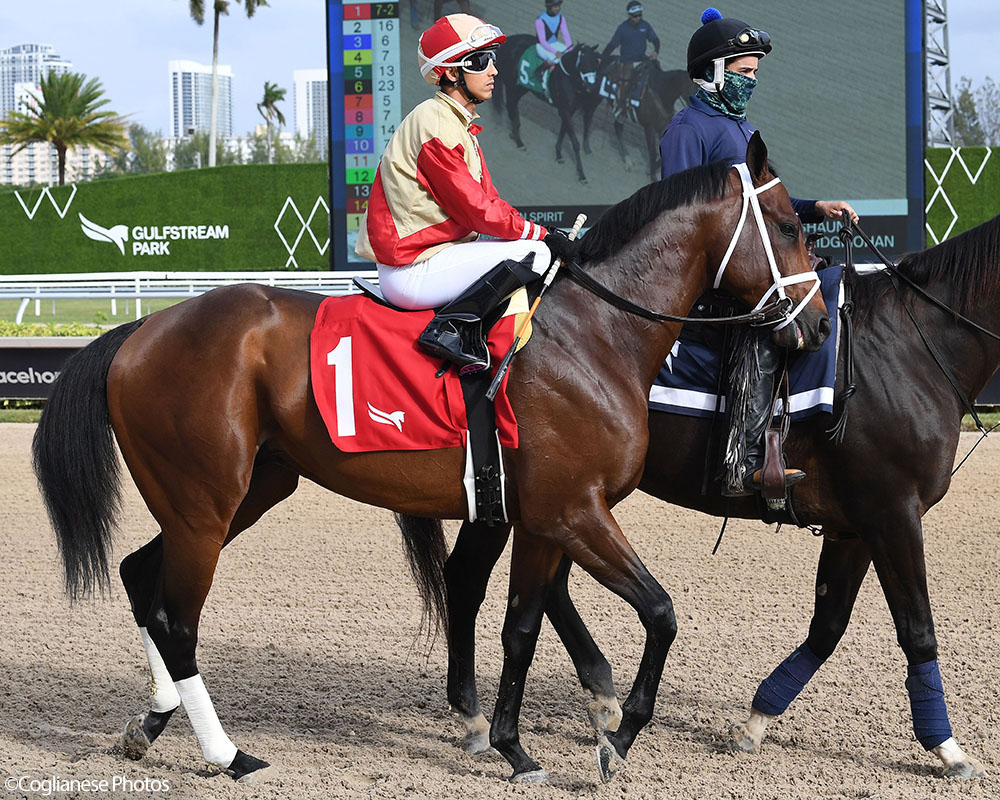 Enlighten (City of Light - Legal Tender), Centennial Farms' 2022 Cheval LLC Thoroughbred racing partnership, before winning a maiden race at the Gulfstream Park Championship Meet with Edgard Zayas aboard.