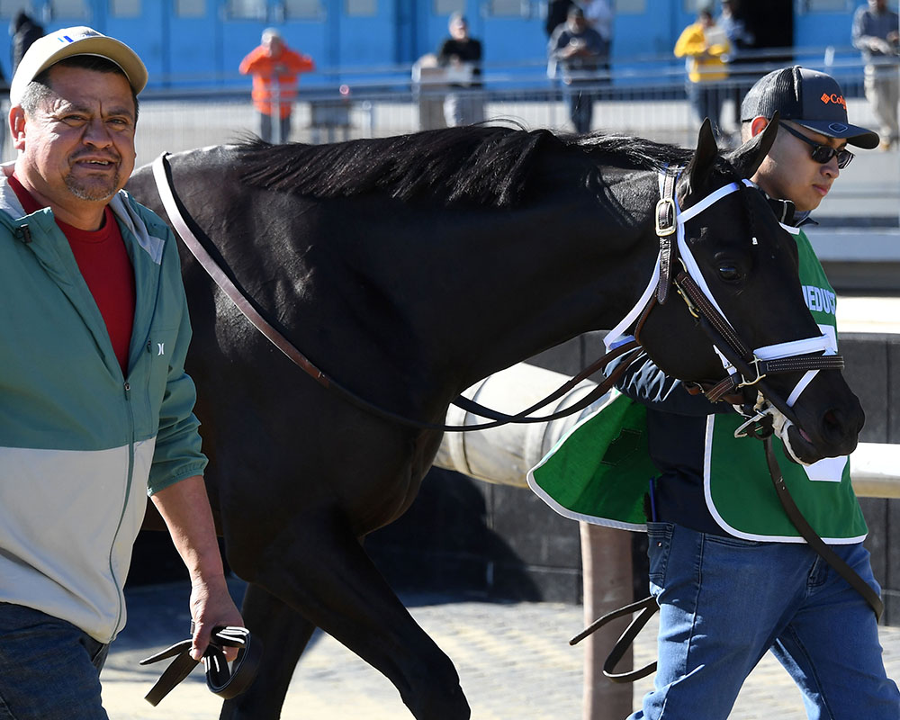 Illuminare (City of Light - I Still Miss You), part of Centennial Farms' 2022 Hamilton LLC Thoroughbred racing partnership, before winning an allowance at Belmont at The Big A with Irad Ortiz, Jr. aboard.