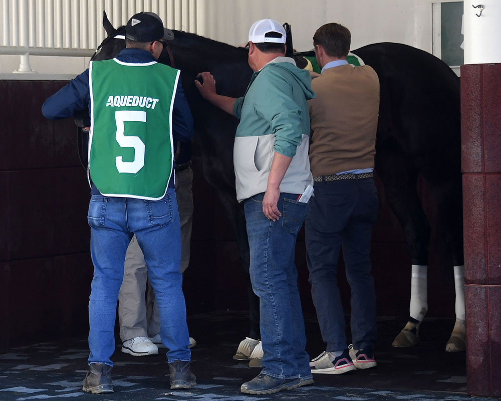 Illuminare (City of Light - I Still Miss You), part of Centennial Farms' 2022 Hamilton LLC Thoroughbred racing partnership, before winning an allowance at Belmont at The Big A with Irad Ortiz, Jr. aboard.