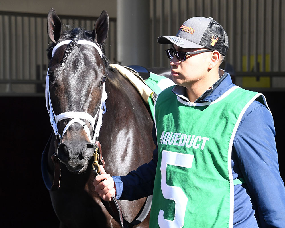 Illuminare (City of Light - I Still Miss You), part of Centennial Farms' 2022 Hamilton LLC Thoroughbred racing partnership, before winning an allowance at Belmont at The Big A with Irad Ortiz, Jr. aboard.