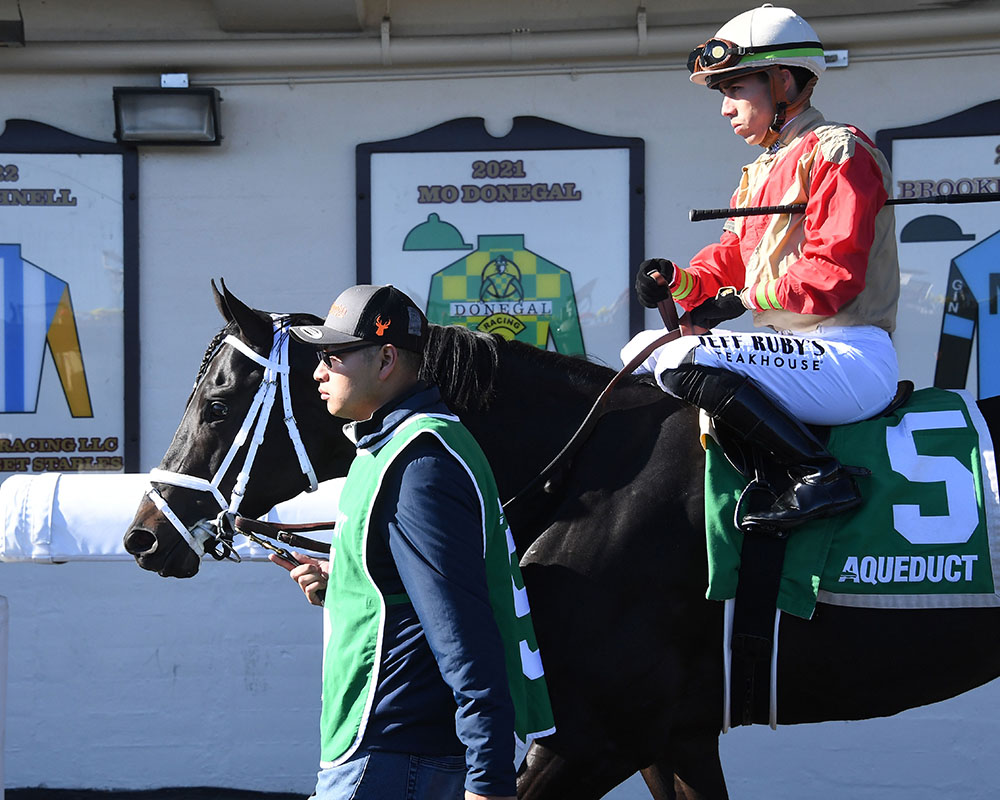 Illuminare (City of Light - I Still Miss You), part of Centennial Farms' 2022 Hamilton LLC Thoroughbred racing partnership, before winning an allowance at Belmont at The Big A with Irad Ortiz, Jr. aboard.