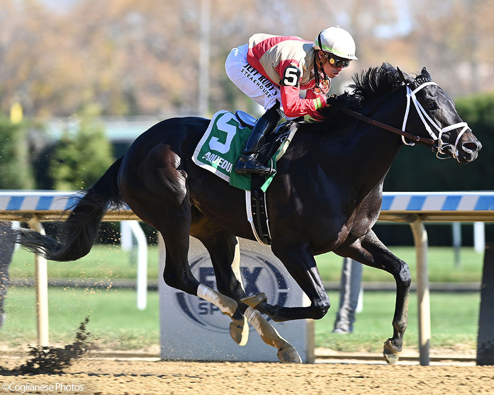 Illuminare (City of Light - I Still Miss You), part of Centennial Farms' 2022 Hamilton LLC Thoroughbred racing partnership, winning an allowance at Belmont at The Big A with Irad Ortiz, Jr. aboard.