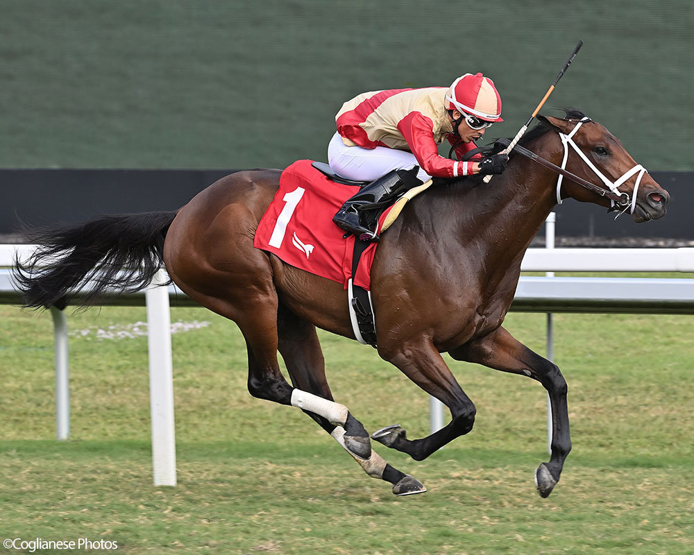 Enlighten (City of Light - Legal Tender), Centennial Farms' 2022 Cheval LLC Thoroughbred racing partnership, winning a maiden race at the Gulfstream Park Championship Meet with Edgard Zayas aboard.