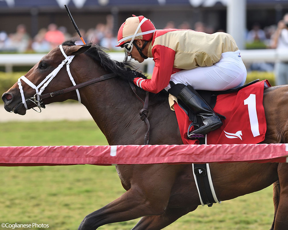 Enlighten (City of Light - Legal Tender), Centennial Farms' 2022 Cheval LLC Thoroughbred racing partnership, winning a maiden race at the Gulfstream Park Championship Meet with Edgard Zayas aboard.