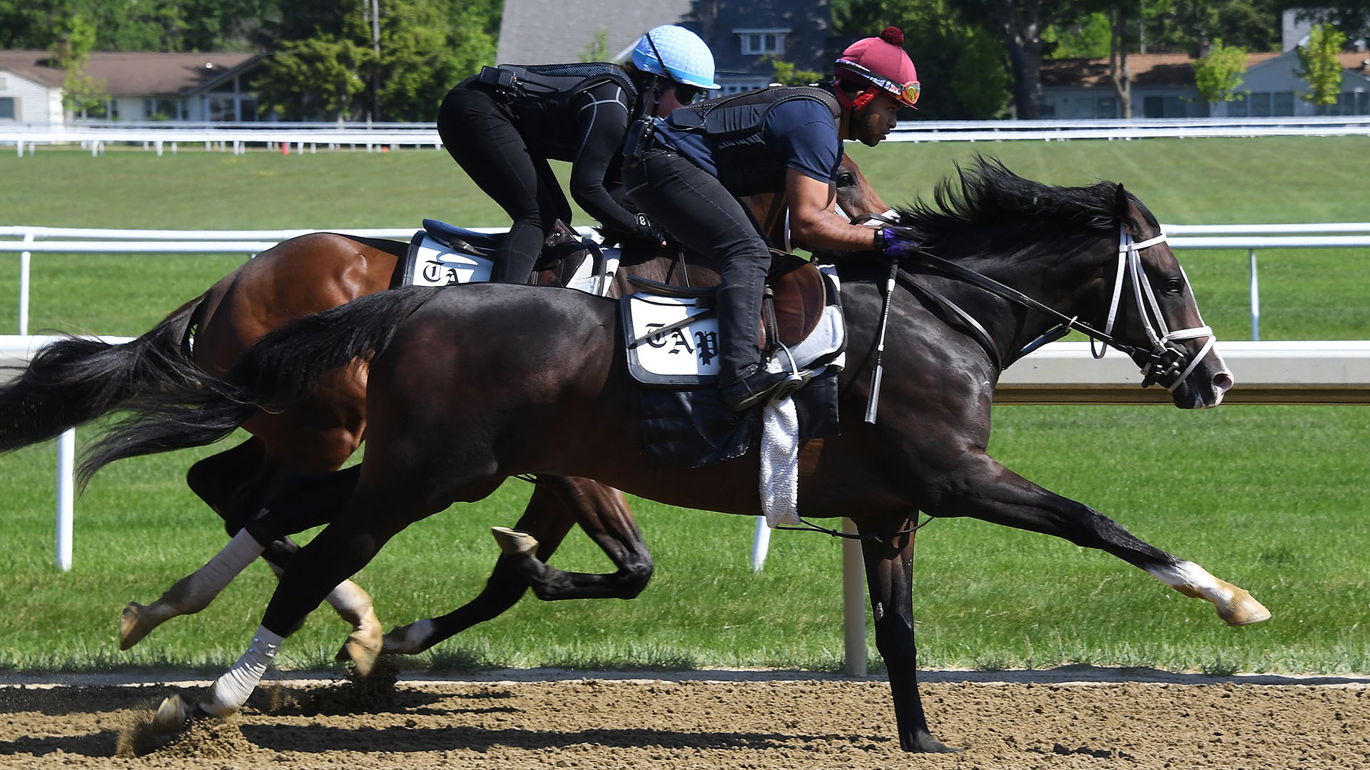 Argent Heir, a Silver State - Firsthand Report (Blame) colt purchased at the 2024 Keeneland September Sale and shown galloping at the Middleburg Training Center. He is available as part of the Commonwealth, LLC Thoroughbred racing partnership.