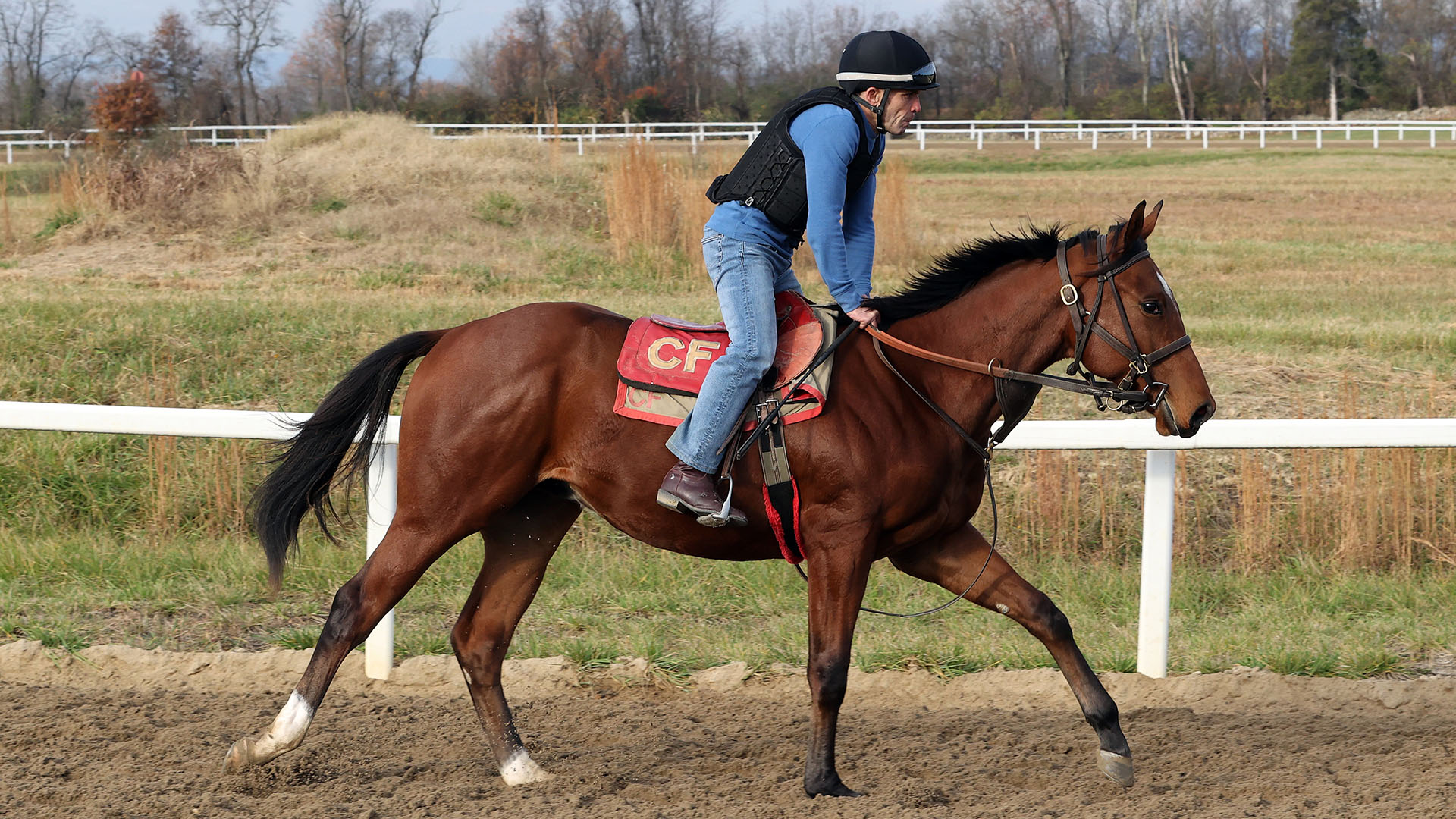 A City of Light - Majestic Union (Union Rags) colt purchased at the 2024 Keeneland September Sale and shown galloping at the Middleburg Training Center. He is available as part of the Commonwealth, LLC Thoroughbred racing partnership.