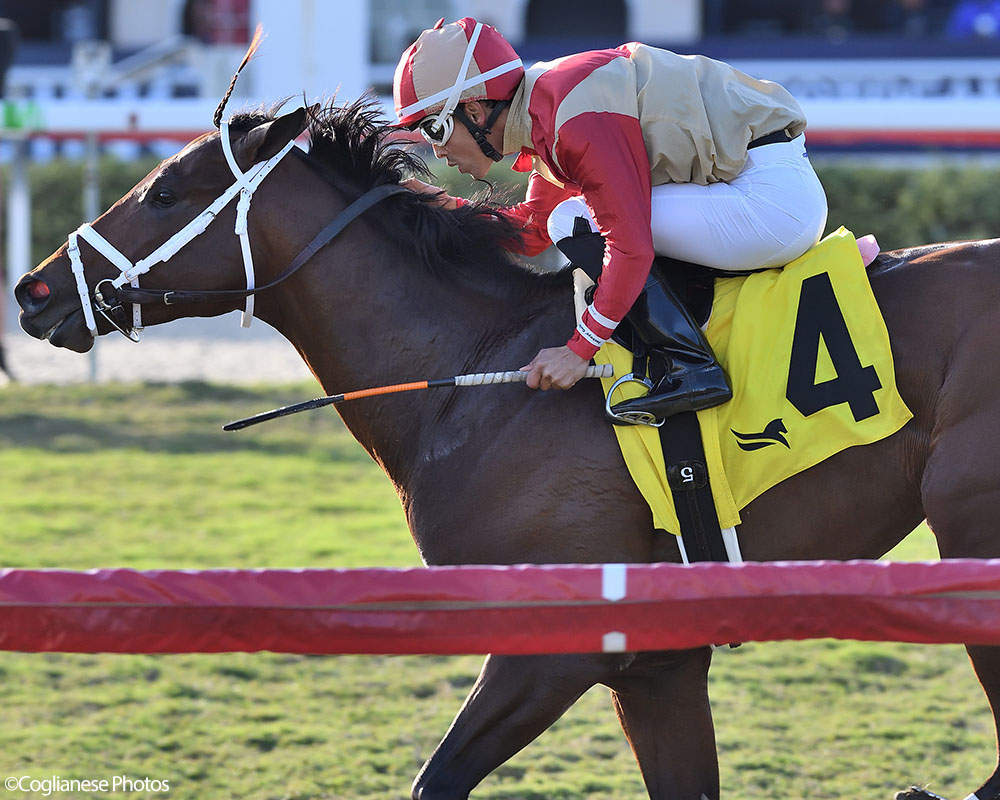 Enlighten (City of Light - Legal Tender), Centennial Farms' 2022 Cheval LLC Thoroughbred racing partnership, winning an allowance race at the Gulfstream Park Championship Meet with Edgard Zayas aboard.