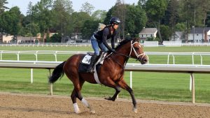 Halogen, a City of Light - Majestic Union (Union Rags) colt purchased at the 2024 Keeneland September Sale and shown galloping at the Middleburg Training Center. He is available as part of the Commonwealth, LLC Thoroughbred racing partnership.