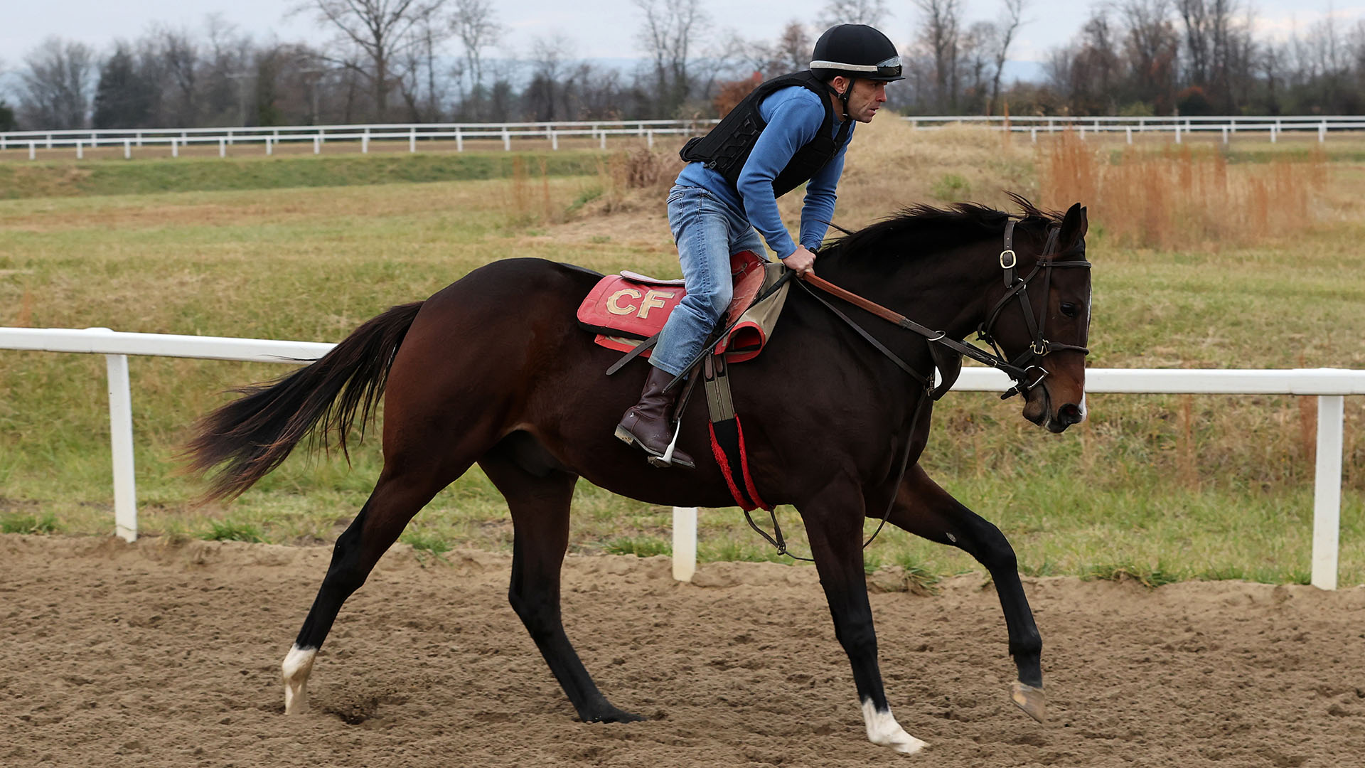 A Not This Time - Ib Prospecting (Mineshaft) colt purchased at the 2024 Keeneland September Sale and shown galloping at the Middleburg Training Center. He is available as part of the Commonwealth, LLC Thoroughbred racing partnership.