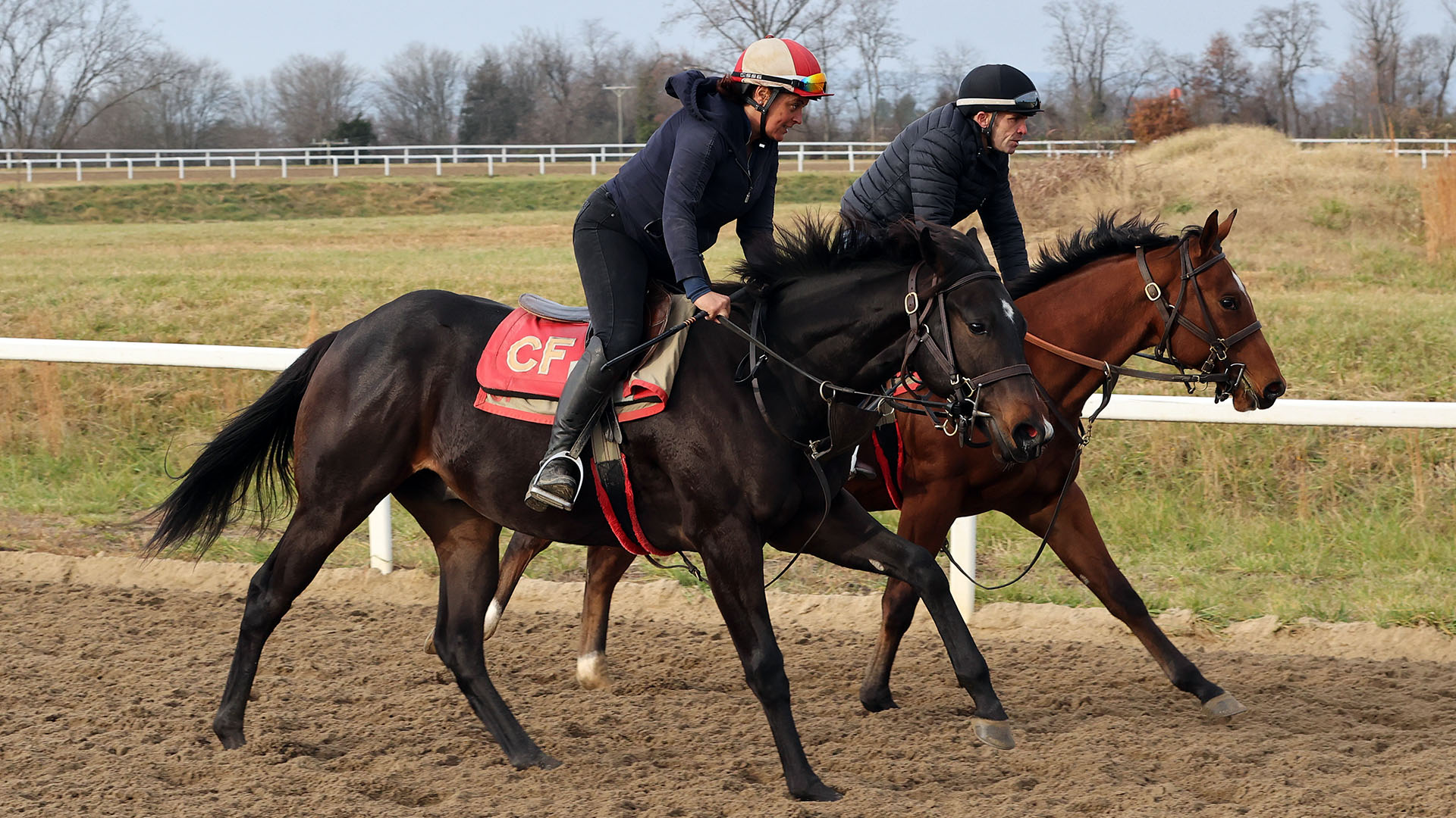 A Yaupon - Lady Luck (Medaglia d'Oro) colt purchased at the 2024 Keeneland September Sale and shown galloping at the Middleburg Training Center. He is available as part of the Commonwealth, LLC Thoroughbred racing partnership.