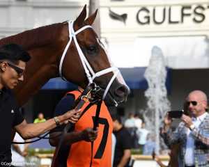 Antiquarian (Preservationist - Lifetime Memory), Centennial Farms' 2022 Preservationist Thoroughbred racing partnership, before winning an allowance race at Gulfstream Park with Edgard Zayas aboard.