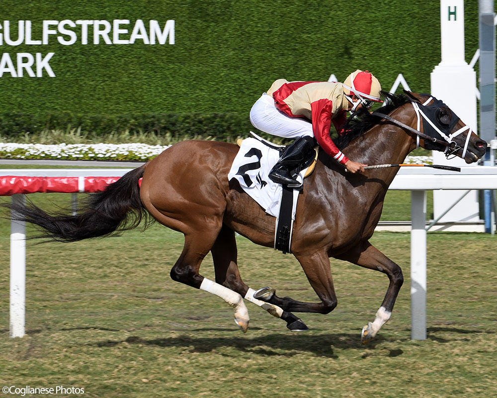 War Officer (War Front - Claire de Lune), Centennial Farms' 2022 Twin Oaks LLC Thoroughbred racing partnership, winning at Gulfstream Park with Edgard Zayas aboard.