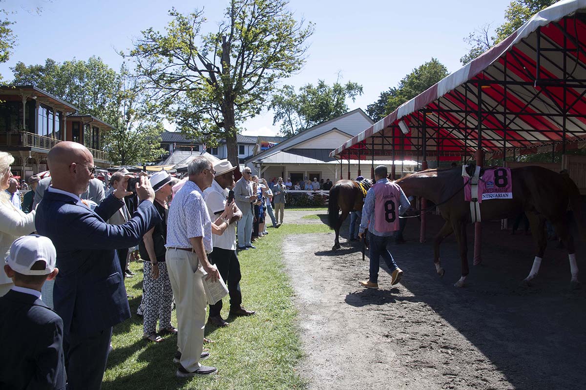 Antiquarian (Preservationist - Lifetime Memory, by Istan), the 2022 Preservationist LLC Thoroughbred racing partnership through Centennial Farms, winner of the G1 Jockey Club Gold Cup at Saratoga, a Win And You're In Race for the Breeders' Cup Classic.