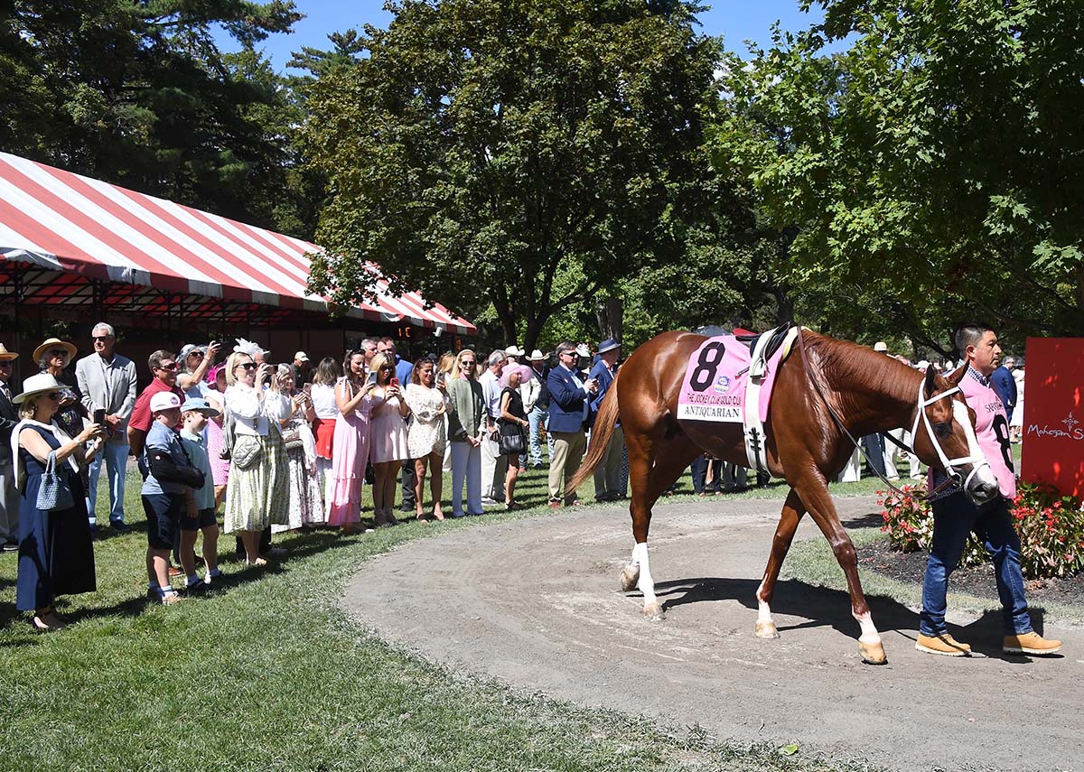 Antiquarian (Preservationist - Lifetime Memory, by Istan), the 2022 Preservationist LLC Thoroughbred racing partnership through Centennial Farms, winner of the G1 Jockey Club Gold Cup at Saratoga, a Win And You're In Race for the Breeders' Cup Classic.