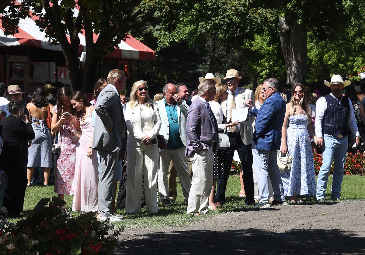 Antiquarian (Preservationist - Lifetime Memory, by Istan), the 2022 Preservationist LLC Thoroughbred racing partnership through Centennial Farms, winner of the G1 Jockey Club Gold Cup at Saratoga, a Win And You're In Race for the Breeders' Cup Classic.
