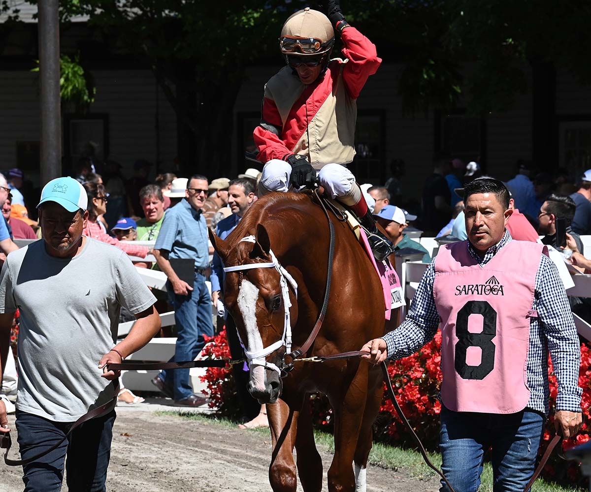 Antiquarian (Preservationist - Lifetime Memory, by Istan), the 2022 Preservationist LLC Thoroughbred racing partnership through Centennial Farms, winner of the G1 Jockey Club Gold Cup at Saratoga, a Win And You're In Race for the Breeders' Cup Classic.