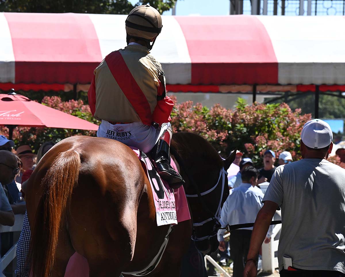 Antiquarian (Preservationist - Lifetime Memory, by Istan), the 2022 Preservationist LLC Thoroughbred racing partnership through Centennial Farms, winner of the G1 Jockey Club Gold Cup at Saratoga, a Win And You're In Race for the Breeders' Cup Classic.