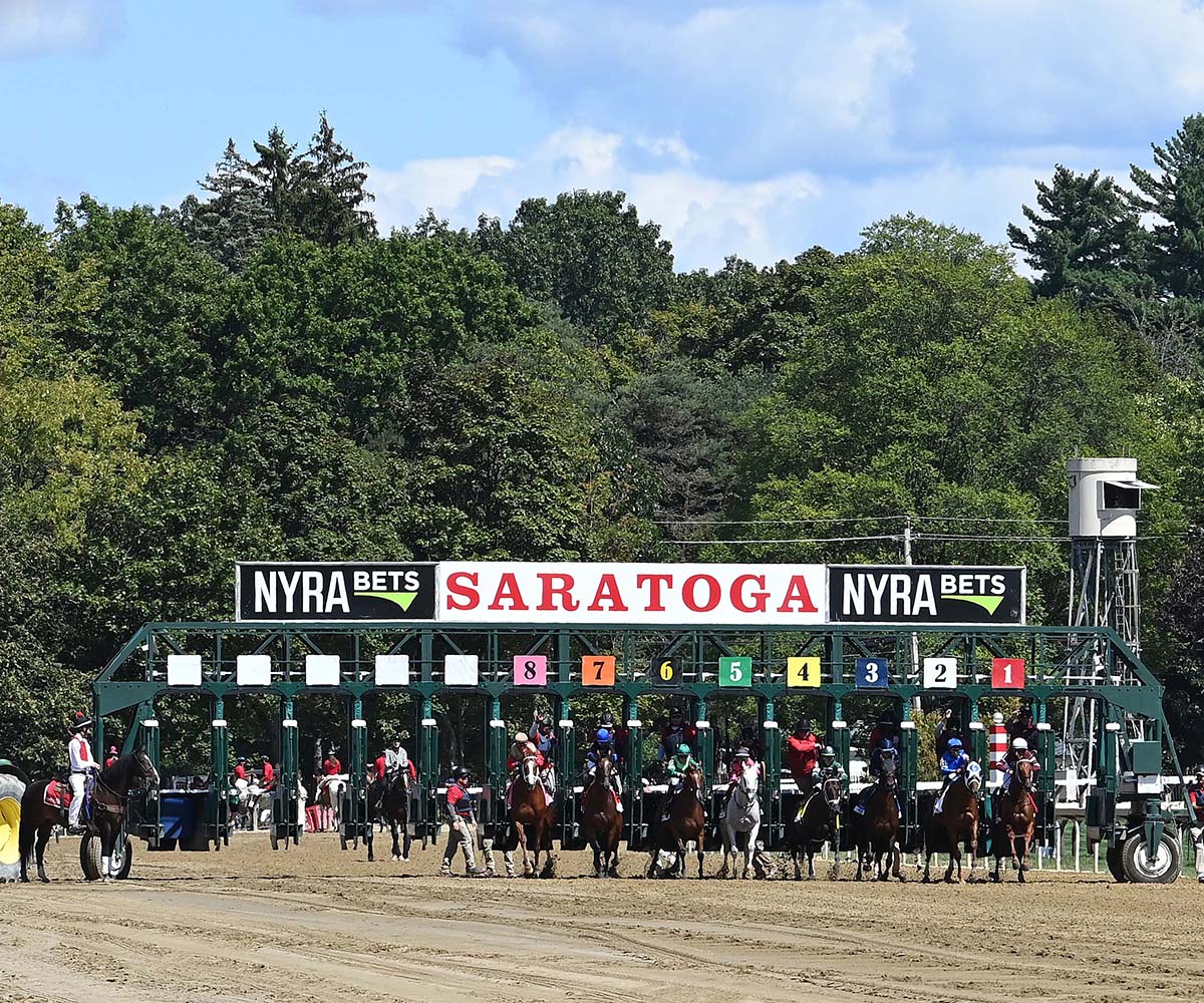 Antiquarian (Preservationist - Lifetime Memory, by Istan), the 2022 Preservationist LLC Thoroughbred racing partnership through Centennial Farms, winner of the G1 Jockey Club Gold Cup at Saratoga, a Win And You're In Race for the Breeders' Cup Classic.