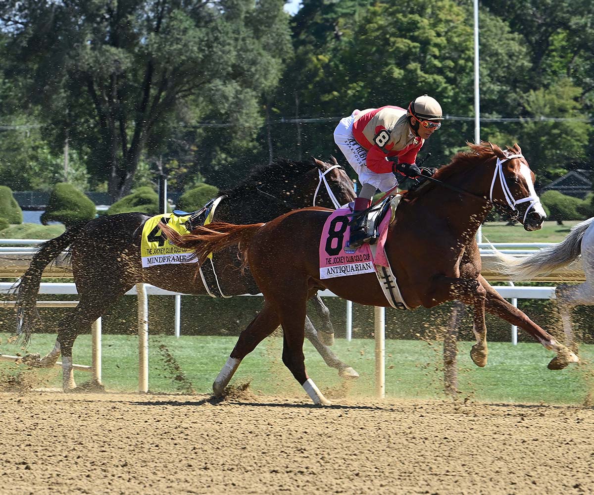 Antiquarian (Preservationist - Lifetime Memory, by Istan), the 2022 Preservationist LLC Thoroughbred racing partnership through Centennial Farms, winner of the G1 Jockey Club Gold Cup at Saratoga, a Win And You're In Race for the Breeders' Cup Classic.